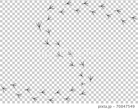 Bird footprints 2 70847549