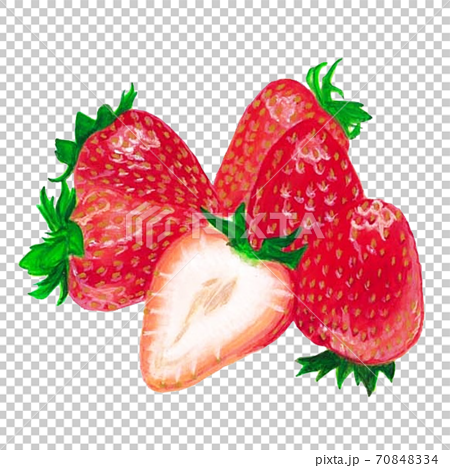 手描きの苺のリアルイラストのイラスト素材