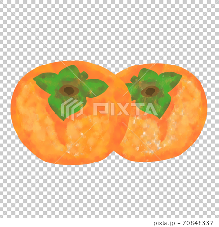 手描き水彩画風柿のイラストのイラスト素材