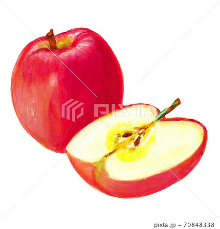 手描きのリンゴのリアルイラストのイラスト素材