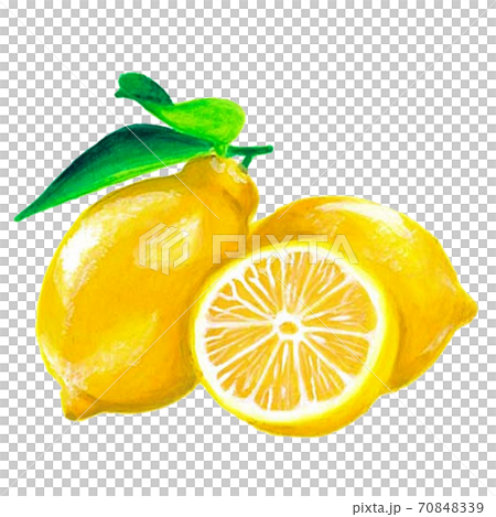 Real illustration of hand-painted lemon 70848339