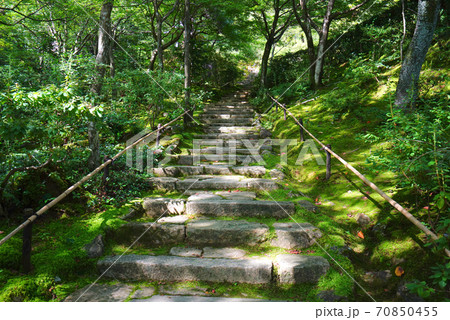 常寂光寺、嵯峨野、京都市、京都府、日本 常寂光寺、嵯峨野、京都市、京都府、日本 70850455