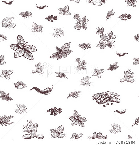 Herbs and spices seamless pattern. Hand drawn ginger, chilli and black pepper, cardamom and rosemary in engraved style. Creative textile, wrapping paper, wallpaper vector texture 70851884