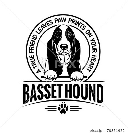 Basset Hound Dog Happy Face Paw Puppy Pup Pet Stock Illustration