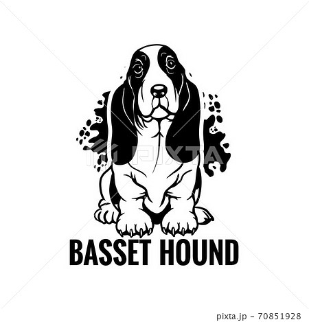Puppy Basset Hound Blue Handegg Helmet Stock Vector (Royalty Free)  630871520