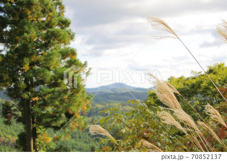 山間部とススキ 70852137