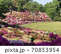 つつじの丘西山公園 70853954