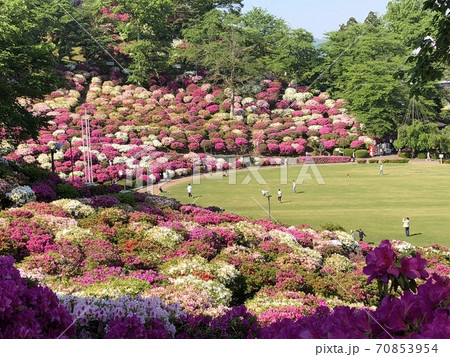 つつじの丘西山公園 つつじの丘西山公園 70853954