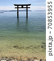 道なき湖の鳥居 70853955