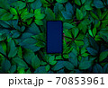 Smartphone phone in green leaves	 70853961