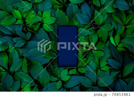 Smartphone phone in green leaves Smartphone phone in green leaves 70853961