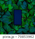 Smartphone phone in green leaves. square image	 70853962