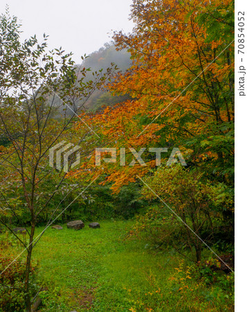紅葉した木々と霧のかかった山 (那須、栃木) 紅葉した木々と霧のかかった山 (那須、栃木) 70854052