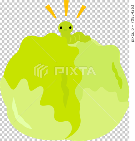 レタスに付いた青虫のイラスト素材