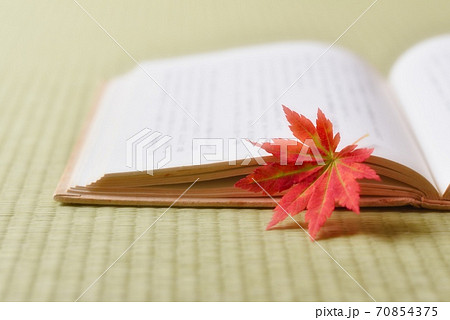 読書の秋 70854375