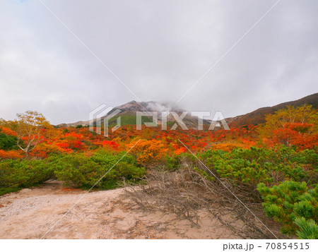 姥ヶ平の紅葉した木々と噴煙する茶臼岳 (那須、栃木) 姥ヶ平の紅葉した木々と噴煙する茶臼岳 (那須、栃木) 70854515