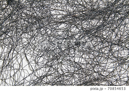Abstract background from twisted thin branches or blades of grass 70854653
