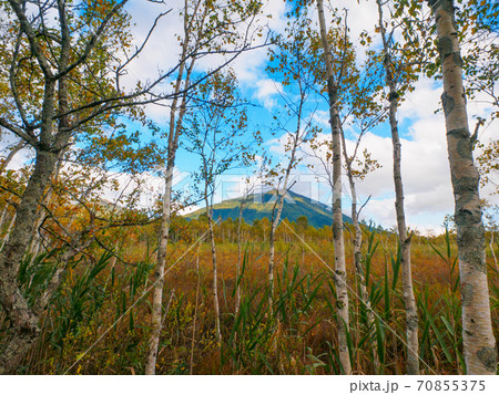 紅葉が始まった初秋の戦場ヶ原 (奥日光、栃木) 70855375
