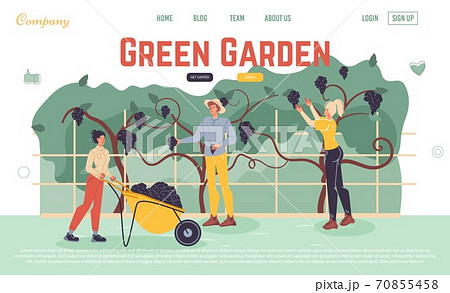 Landing page offer fresh product from green garden Landing page offer fresh product from green garden 70855458