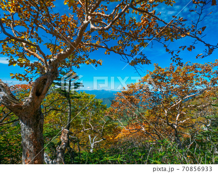 日光白根山、紅葉と登山道からの眺望 (栃木、群馬) 70856933