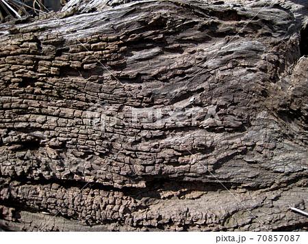 破棄された木材 70857087
