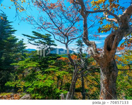 日光白根山、登山道の紅葉と眺望 (栃木、群馬) 70857133