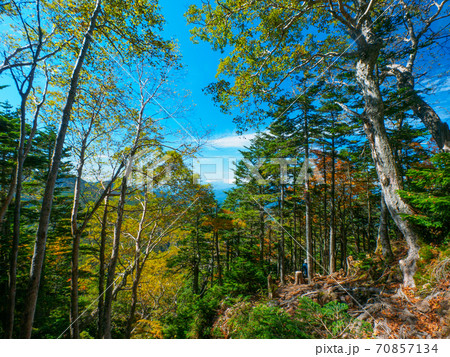 日光白根山、登山道の色付き始めた木々と眺望 (栃木、群馬) 70857134