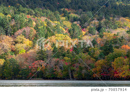北海道 オンネトー湖の紅葉風景 北海道 オンネトー湖の紅葉風景 70857914