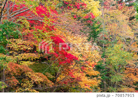 北海道　オンネトー湖の紅葉風景 70857915