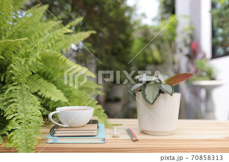 white cup with notebooks and pencil with plant pot on wooden table outside green exterior house 70858313