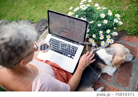 Top view of senior woman architect with laptop working outdoors in garden, home office concept. Top view of senior woman architect with laptop working outdoors in garden, home office concept. 70859371