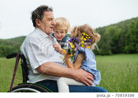 Small children with senior grandfather in wheelchair on a walk on meadow in nature. 70859386