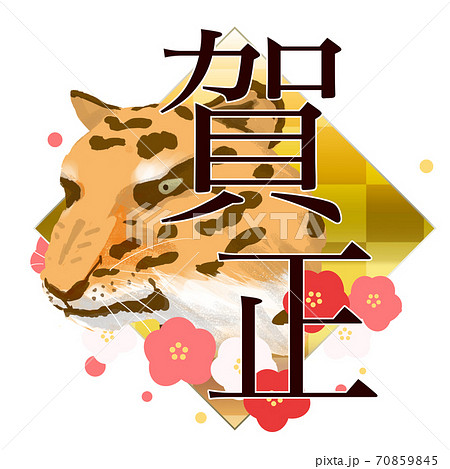 寅年 賀正のイラスト素材