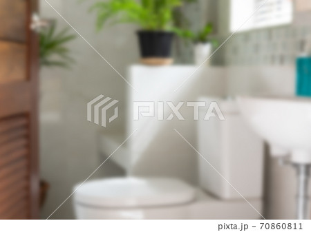 Blurred modern white bathroom with palm tree,sink and toilet bowl in morning time Blurred modern white bathroom with palm tree,sink and toilet bowl in morning time 70860811