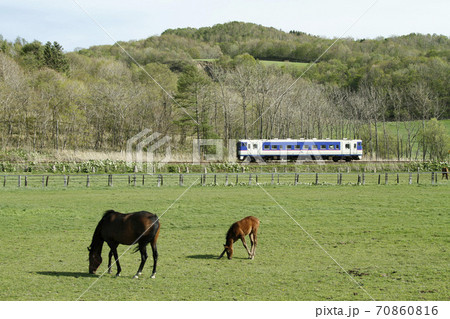 日高本線　日高線　JR日高本線　廃止 70860816