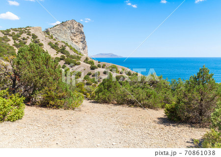 Summer Crimean landscape. Juniper grove 70861038