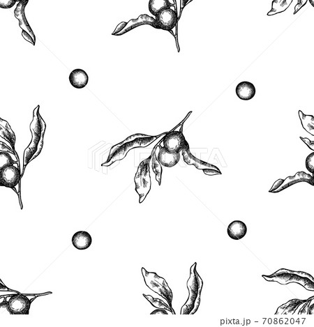 Seamless pattern with black and white solanum Seamless pattern with black and white solanum 70862047