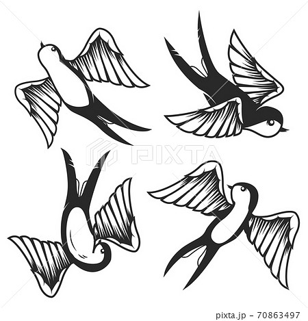 Set of hand drawn swallow illustrations on white background. Design elements for poster, card. Set of hand drawn swallow illustrations on white background. Design elements for poster, card. 70863497