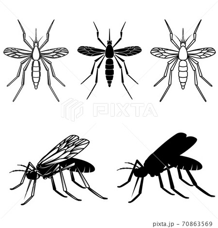 Set of mosquito illustrations. Design element for logo, label, emblem, sign. 70863569
