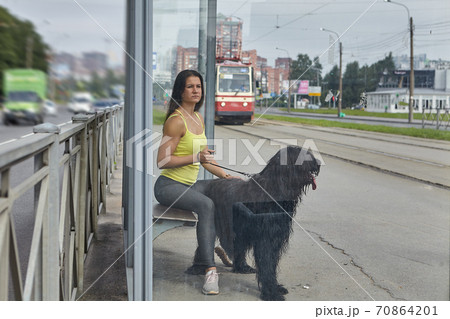 Lady with briard waits for tram on street. Lady with briard waits for tram on street. 70864201
