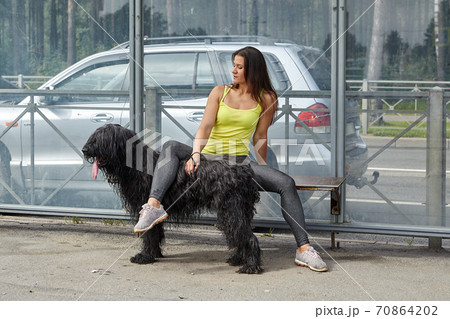 Woman and dog are waiting for public transport. 70864202