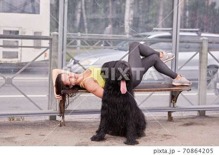 Briard and woman on bench wait for public transport. 70864205