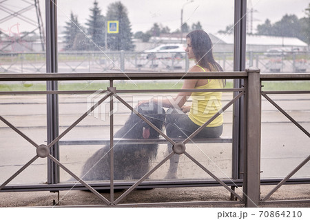 Woman with briard waits for public transport on bus stop. 70864210