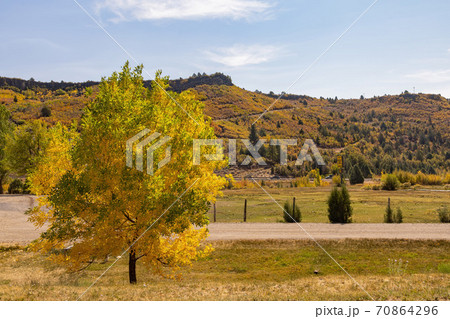Beautiful sunny landscape around Bryce Zion Campground Beautiful sunny landscape around Bryce Zion Campground 70864296