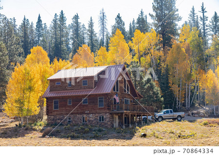 Beautiful sunny fall color around Strawberry Point Road 70864334