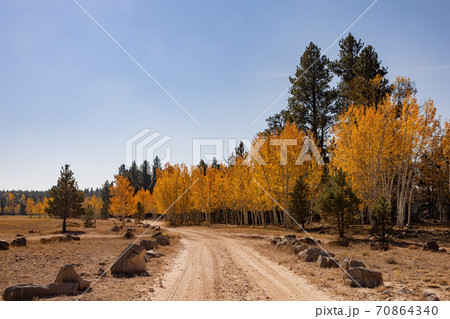 Beautiful sunny fall color of the Uinta Flat Designated Dispersed Camping Area 70864340