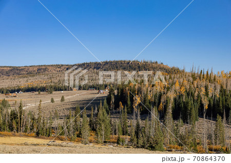 Sunny view of the beautiful fall color around Dixie National Forest 70864370