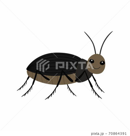 Black beetle on a white background vector illustration 70864391
