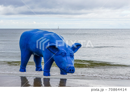a blue plastic pig on the sea shore against a water background a blue plastic pig on the sea shore against a water background 70864414