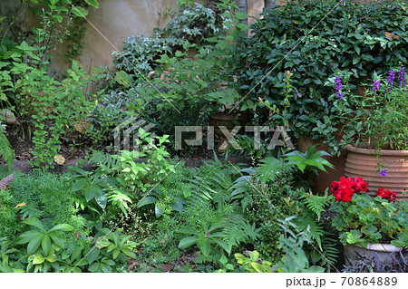 お庭のガーデニング ぬくもりの森 浜松市 の写真素材